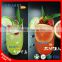 Popular Drinks Menu Recipe Formulation For Kiwi Dragon Fruit Juice