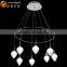 Modern LED Chips Lights Acrylic Pendant Chandelier Bottle Chandelier Lampardis OM88213-8W