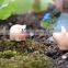 DIY Micro Fairy Garden Accessories Miniature Mini Happy resin pig & many designs for angels statues 24k gold bee figurines