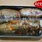 Canned Mackerel in Natural Oil