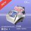 CS06 650nm diode laser Laser Type Portable Style lipo laser anti cellulite