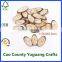 craft wood slices oval shaped wooden slices with drilling hole