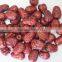 Electric or Steam Type Food Fruit Dryer/Vegetable dryer/Fruit and vegetable dryer