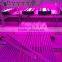 Lettuce grow tube led light indoor full spectrum lighting 2015