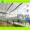 Agriculture galvanized steel structure greenhouse for planting
