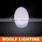 Home Living Room Table Decorative LED Egg Light