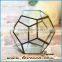 Alloy frame hanging terrarium glass home decoration