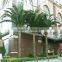 SJ2017200001 Hot Sale Outdoor Decorative Fake Washington Artificial Plastic Palm Tree uv Anti