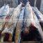 Sailfish DWT
