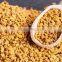 Export quality methi dana