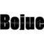 Shanghai Bojue Precision Mould Co.,Ltd