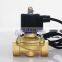IP68 Underwater solenoid valve brass 1 inch 1-1/4" Normally close 2W250-25 2W350-35 2 way Fountain solenoid valve waterproof