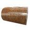 Cold rolled prepainted galvanized wooden pattern printed  ppgi steel coils for home decoration