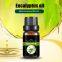 Factory Wholesale  Eucalyptus Essential Oil Pure Natural oil