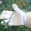 HDD in stock gloves supplier garden trim flower leather work gloves