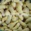 China ginger frozen type and fresh type with factory price