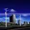 Single and Double Arm 6M-12M Galvanized Lighting Pole /30W-120W Cast Iron Outdoor Lamp Post