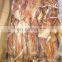 frozen west africa squid ghana squid good price