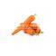 Natural carrot juice extract powder