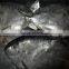 Frozen moon fish seafrozen for common use