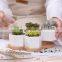 High Quality Wholesale Modern Ceramic White Hexagon Shape Planter Pot Small With Bamboo Tray