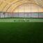 Hight density guangdong artificial grass artificial carpet