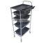Beiqi Hair Salon Trolley with 4 Trays Supplier Beauty Salon Equipment