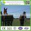 ( china supplier)Australian Standards Stainless Steel Hot Dipped Galvanized Hinge Joint cattle field fence manufacture