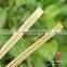 Disposable Bamboo Chopsticks