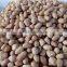 New Crop 2015 Blanched Peanut Kernels 25/29