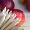 Manufacturer Bamboo And Wooden Bbq Skewer FDA Test Report