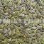 Dried Edible Chinese Pumpkin Seeds,2015 Crop