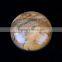 AAA Picture Jasper Rounds Palm Stone Worry Stone Chakra Stone Reiki Infused Polished Crystal