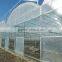 polycarbonate solid sheet container greenhouse for 10 year guarantee