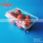 High quality Disposible plastic food PET tray/strawberry/blueberry clamshell tray                        
                                                Quality Choice
