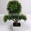 Real Look Artificial Podocarpus Bonsai Tree Potted Plant Wholesale