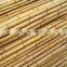 Raw pole bamboo for construction and building materials