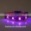 Wholesale Waterproof Jewel Flashing Pet Collar With Retracable Buckles
