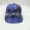 Custom 100% Polyester 6 Panel Snapback Hats Wholesale