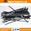 PA66 Material Nylon Cable Tie