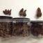 Yunnan Wild Fresh Morel Mushrooms Best Price