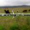 ISO 9001 standard low price concertina razor barbed wire ( factory )