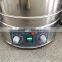 YX-280D Stainless Steel Small Autoclave Steam Sterilizer - Bluestone Autoclave