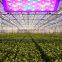 LED Grow Light Full Spectrum Plant Light for Hydroponic Indoor Plant Veg&bloom (White)