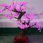 Beautiful home festivals indoor decorative led bonsai tree light