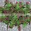 boxwood hedge mat plastic green UV protection artificial foliage