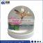 Plastic Travel Gift Snowglobes