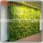 Vertical plant artificial walls plastic green wall garden for sale