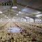 low cost high quality poultry house design for layers in kenya farm