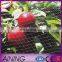 Plastic 10*10mm mesh HDPE anti bird net for grapes factory export